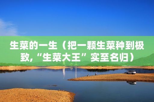 生菜的一生（把一颗生菜种到极致,“生菜大王”实至名归）