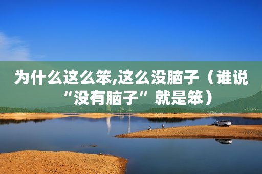 为什么这么笨,这么没脑子（谁说“没有脑子”就是笨）