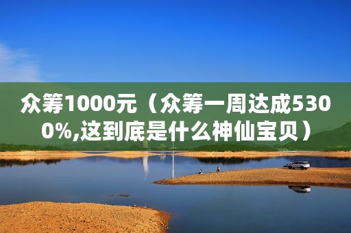 众筹1000元（众筹一周达成5300%,这到底是什么神仙宝贝）