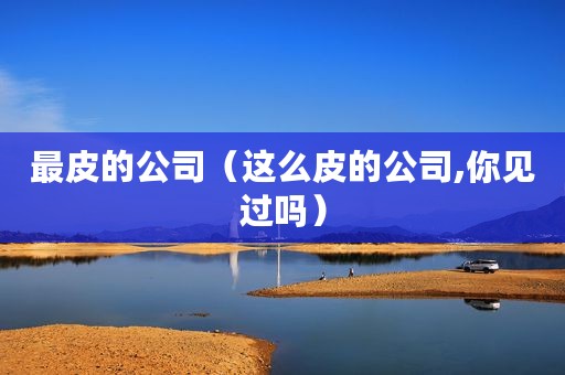 最皮的公司（这么皮的公司,你见过吗）