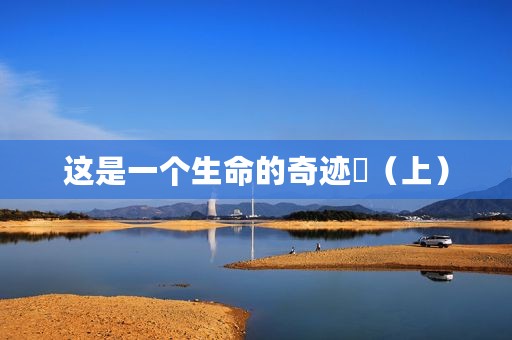 这是一个生命的奇迹️（上）