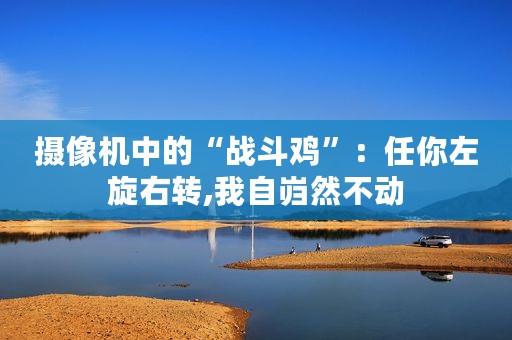摄像机中的“战斗鸡”：任你左旋右转,我自岿然不动
