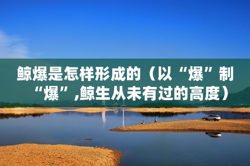 鲸爆是怎样形成的（以“爆”制“爆”,鲸生从未有过的高度）