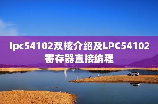 lpc54102双核介绍及LPC54102寄存器直接编程