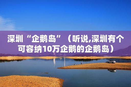 深圳“企鹅岛”（听说,深圳有个可容纳10万企鹅的企鹅岛）