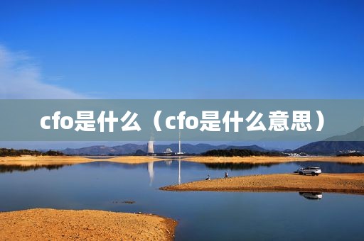 cfo是什么（cfo是什么意思）