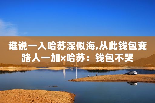谁说一入哈苏深似海,从此钱包变路人一加×哈苏：钱包不哭
