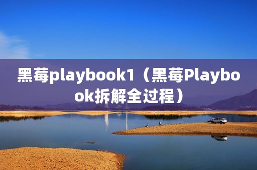黑莓playbook1（黑莓Playbook拆解全过程）