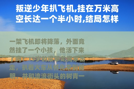 叛逆少年扒飞机,挂在万米高空长达一个半小时,结局怎样