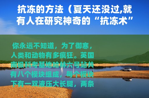 抗冻的方法（夏天还没过,就有人在研究神奇的“抗冻术”了）