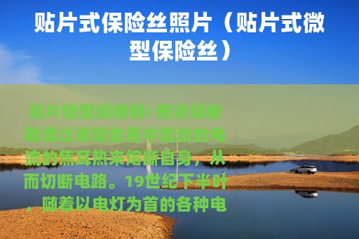 贴片式保险丝照片（贴片式微型保险丝）