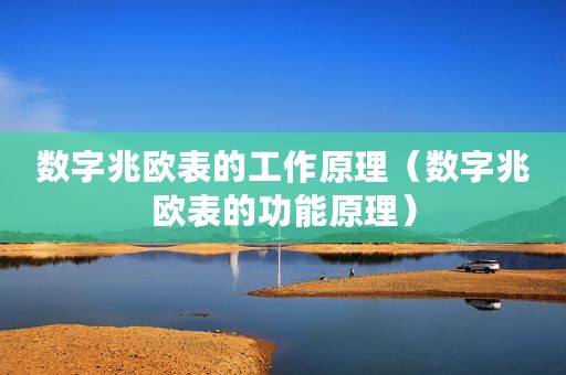 数字兆欧表的工作原理（数字兆欧表的功能原理）