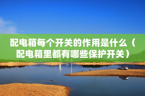配电箱每个开关的作用是什么（配电箱里都有哪些保护开关）