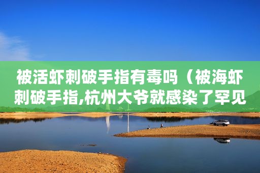 被活虾刺破手指有毒吗（被海虾刺破手指,杭州大爷就感染了罕见病菌）