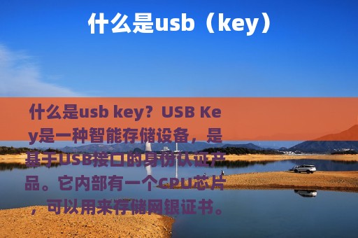 什么是usb（key）