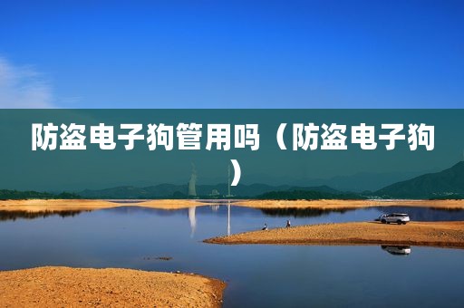 防盗电子狗管用吗（防盗电子狗）