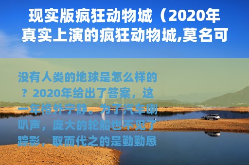 现实版疯狂动物城（2020年真实上演的疯狂动物城,莫名可爱）
