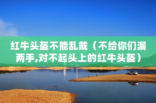 红牛头盔不能乱戴（不给你们漏两手,对不起头上的红牛头盔）