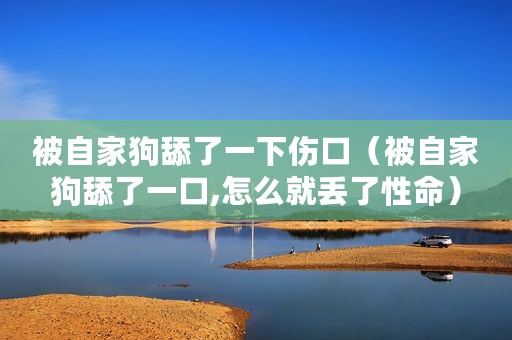 被自家狗舔了一下伤口（被自家狗舔了一口,怎么就丢了性命）