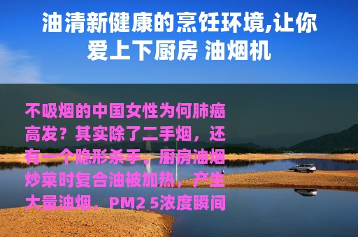 油清新健康的烹饪环境,让你爱上下厨房 油烟机