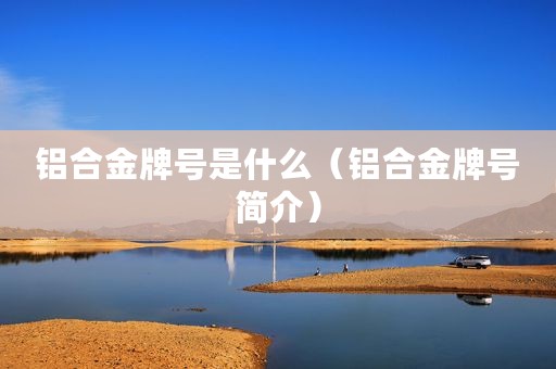 铝合金牌号是什么（铝合金牌号简介）