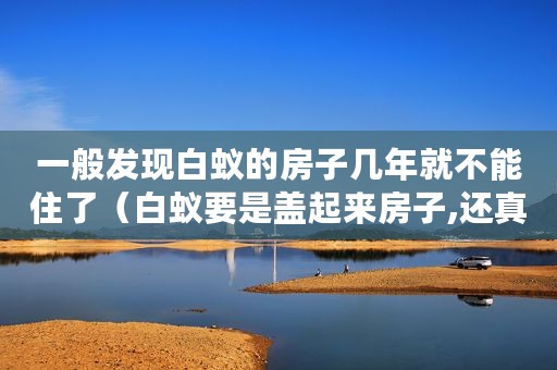 一般发现白蚁的房子几年就不能住了（白蚁要是盖起来房子,还真没人类什么事了）