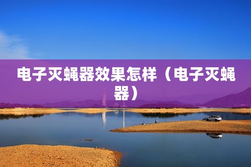 电子灭蝇器效果怎样（电子灭蝇器）