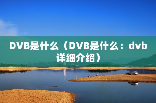 DVB是什么（DVB是什么：dvb详细介绍）