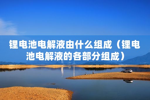 锂电池电解液由什么组成（锂电池电解液的各部分组成）
