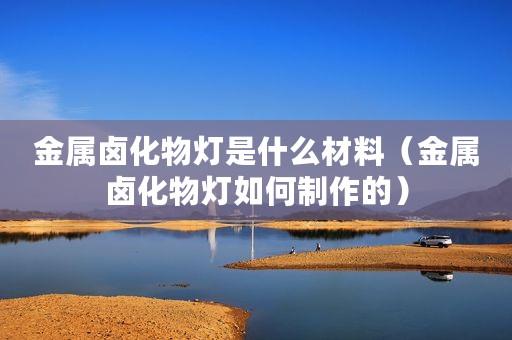 金属卤化物灯是什么材料（金属卤化物灯如何制作的）
