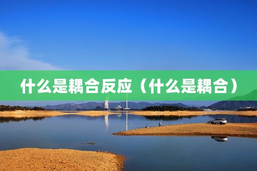 什么是耦合反应（什么是耦合）