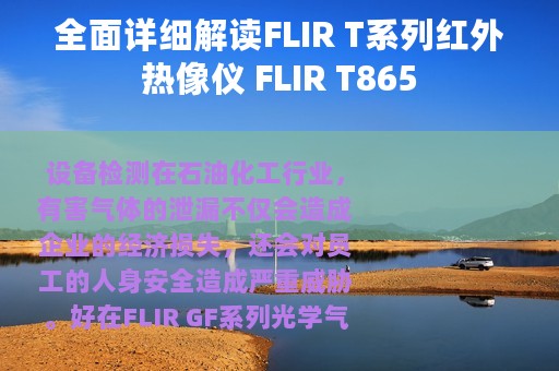 全面详细解读FLIR T系列红外热像仪 FLIR T865