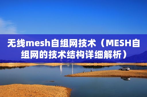 无线mesh自组网技术（MESH自组网的技术结构详细解析）
