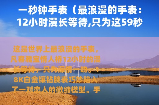一秒钟手表（最浪漫的手表：12小时漫长等待,只为这59秒）