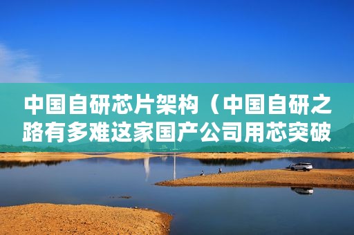中国自研芯片架构（中国自研之路有多难这家国产公司用芯突破）
