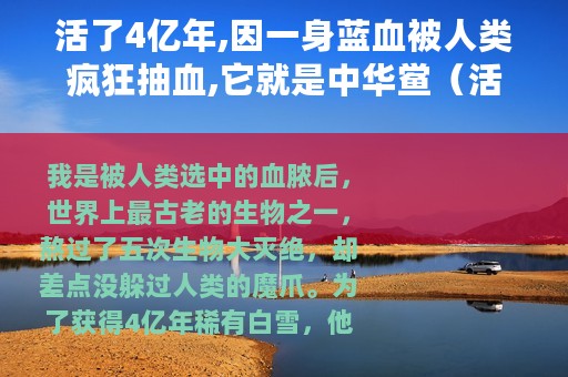 活了4亿年,因一身蓝血被人类疯狂抽血,它就是中华鲎（活了4亿年,因一身蓝血被人类疯狂抽血,它就是）