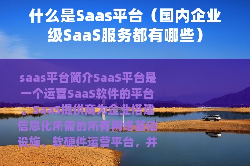 什么是Saas平台（国内企业级SaaS服务都有哪些）