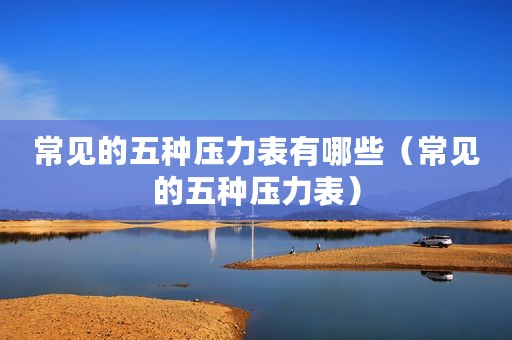 常见的五种压力表有哪些（常见的五种压力表）