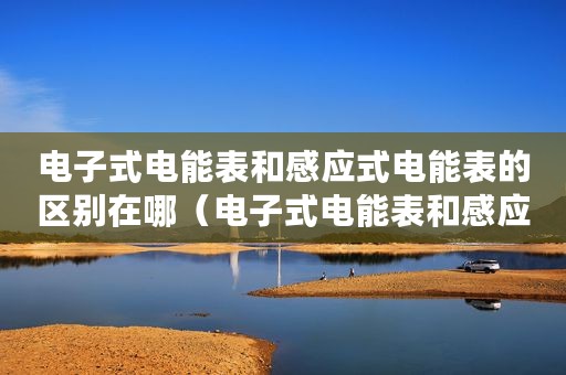 电子式电能表和感应式电能表的区别在哪（电子式电能表和感应式电能表的区别）