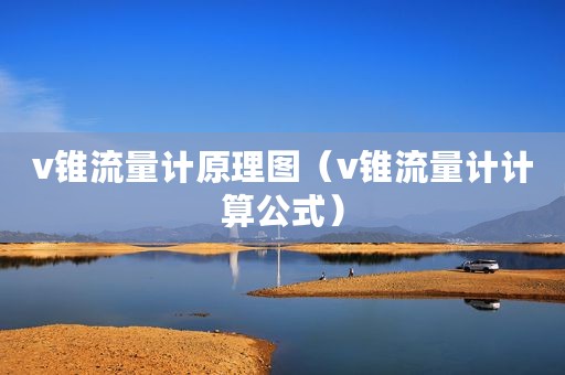 v锥流量计原理图（v锥流量计计算公式）