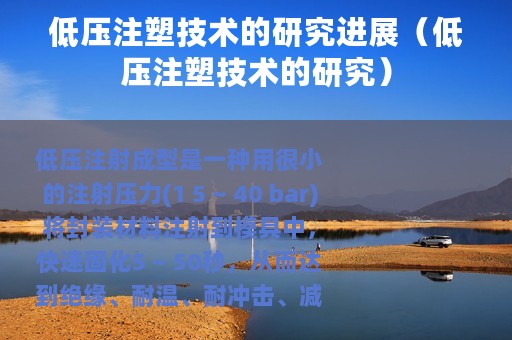 低压注塑技术的研究进展（低压注塑技术的研究）