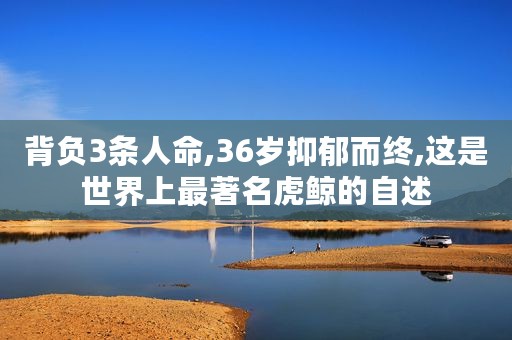 背负3条人命,36岁抑郁而终,这是世界上最著名虎鲸的自述