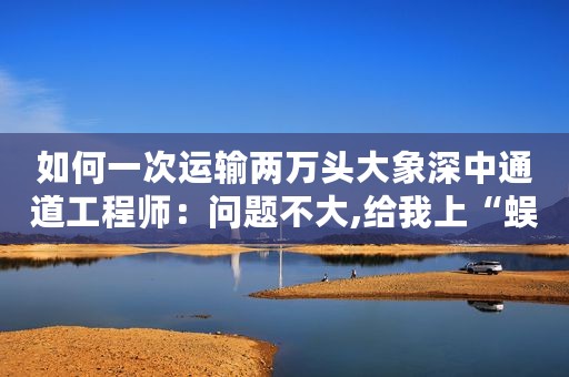 如何一次运输两万头大象深中通道工程师：问题不大,给我上“蜈蚣”