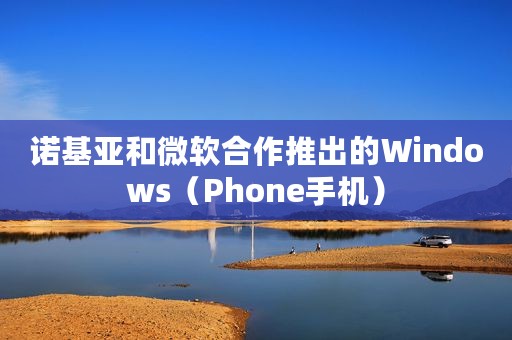 诺基亚和微软合作推出的Windows（Phone手机）