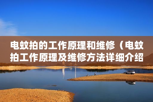 电蚊拍的工作原理和维修（电蚊拍工作原理及维修方法详细介绍）