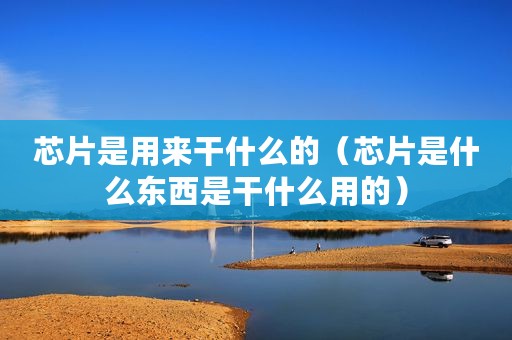 芯片是用来干什么的（芯片是什么东西是干什么用的）