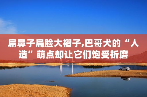 扁鼻子扁脸大褶子,巴哥犬的“人造”萌点却让它们饱受折磨
