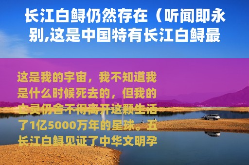 长江白鲟仍然存在（听闻即永别,这是中国特有长江白鲟最后的自白）