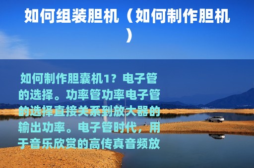 如何组装胆机（如何制作胆机）
