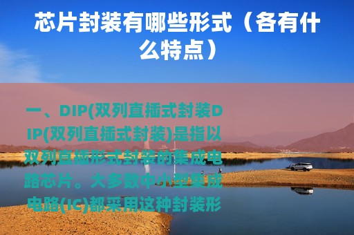 芯片封装有哪些形式（各有什么特点）